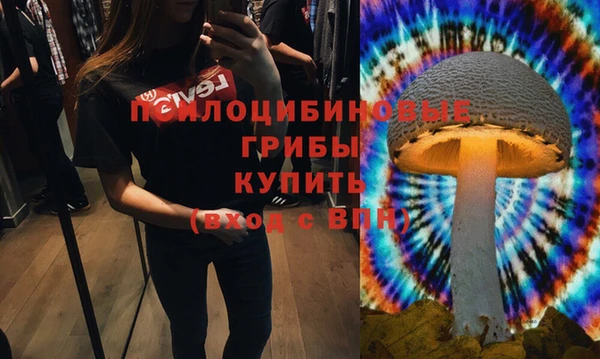каннабис Бородино