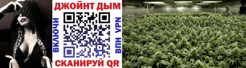 Купить закладки  Лебедянь  Конопля White Widow 